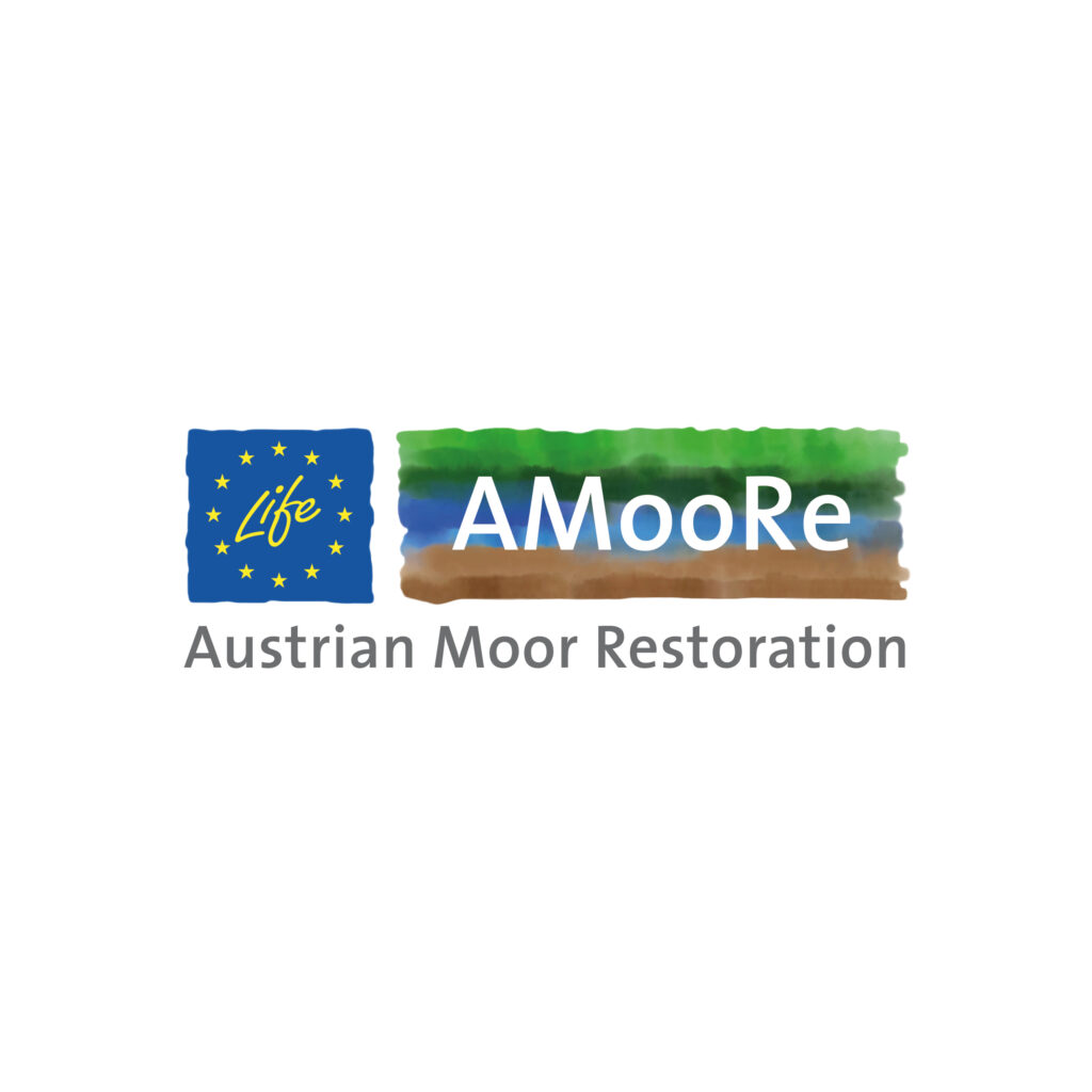 Logo-Entwicklung_AMooRe